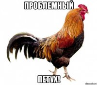 проблемный петух!