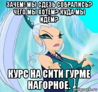 зачем! мы сдезь собрались? чего мы хотем? куда мы идём? курс на сити гурме нагорное.