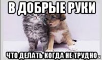 в добрые руки что делать когда не трудно
