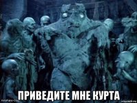  приведите мне курта