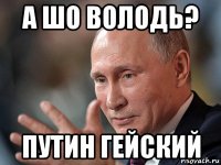 а шо володь? путин гейский