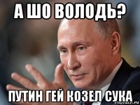 а шо володь? путин гей козел сука