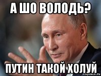 а шо володь? путин такой холуй
