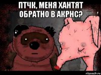 птчк, меня хантят обратно в акрнс? 