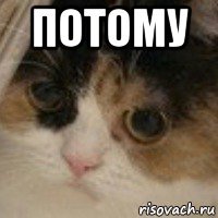 потому 