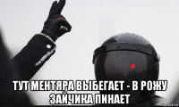  тут ментяра выбегает - в рожу зайчика пинает
