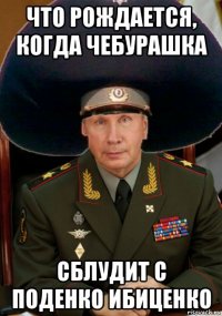 что рождается, когда чебурашка сблудит с поденко ибиценко