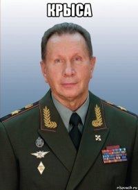 крыса 
