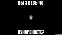 вы здесь чо, кукарекаете?