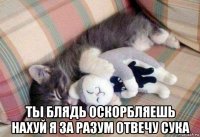  ты блядь оскорбляешь нахуй я за разум отвечу сука