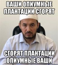 ваши опиумные плантации сгорят сгорят плантации опиумные ваши
