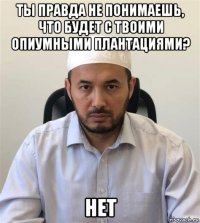 ты правда не понимаешь, что будет с твоими опиумными плантациями? нет