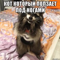 кот который ползает под ногами 