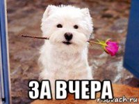  за вчера