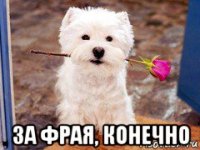  за фрая, конечно