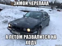 зимой черепаха а летом развалится на ходу