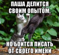 паша делится своим опытом, но боится писать от своего имени