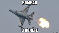 бомбак в полёте