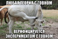 любая теория с говном верифицируется экспериментом с говном