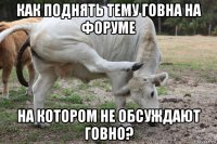как поднять тему говна на форуме на котором не обсуждают говно?
