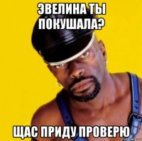 эвелина ты покушала? щас приду проверю