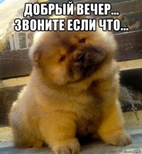добрый вечер... звоните если что... 
