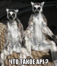  что такое api ?