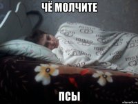 чё молчите псы
