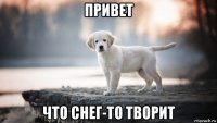привет что снег-то творит