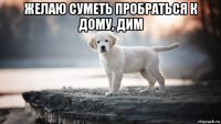 желаю суметь пробраться к дому, дим 