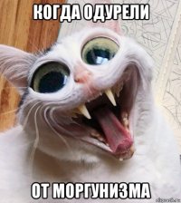 когда одурели от моргунизма