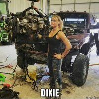  dixie