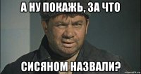 а ну покажь, за что сисяном назвали?