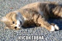  кусок говна