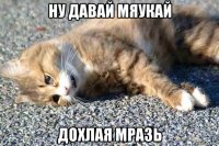 ну давай мяукай дохлая мразь