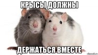 крысы должны держаться вместе