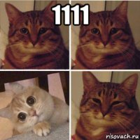 1111 