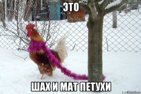 это шах и мат петухи