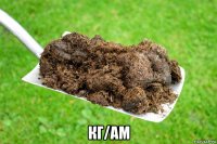  кг/ам