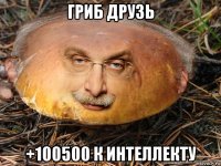 гриб друзь +100500 к интеллекту