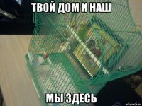 твой дом и наш мы здесь
