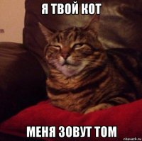 я твой кот меня зовут том