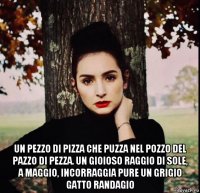  un pezzo di pizza che puzza nel pozzo del pazzo di pezza. un gioioso raggio di sole, a maggio, incorraggia pure un grigio gatto randagio