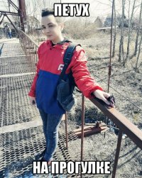 петух на прогулке