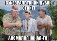 в феврале такой дубак стоит! аномалия какая-то!
