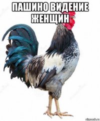 пашино видение женщин 