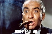  жюф гав гав
