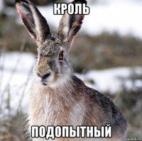 кроль подопытный