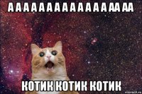 а а а а а а а а а а а а а аа аа котик котик котик