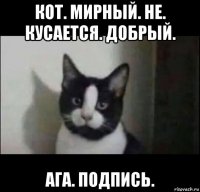 кот. мирный. не. кусается. добрый. ага. подпись.